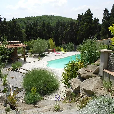 Cammas De Bas * Montreal (Aude)