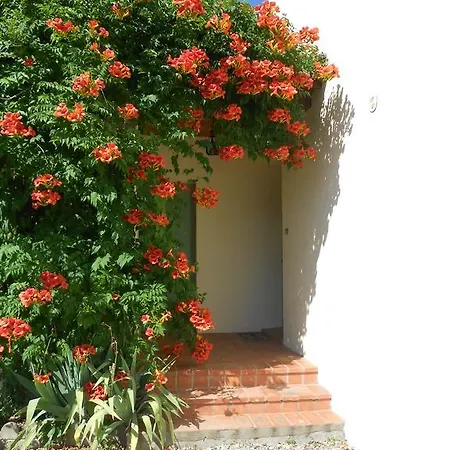 Cammas De Bas Villa