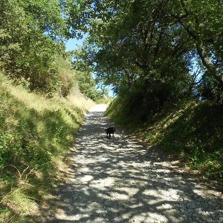 Villa Cammas De Bas Montreal (Aude)