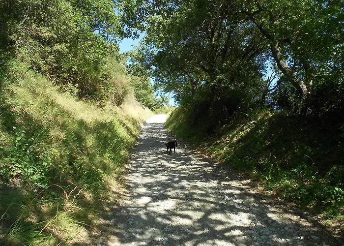 Villa Cammas De Bas Montréal