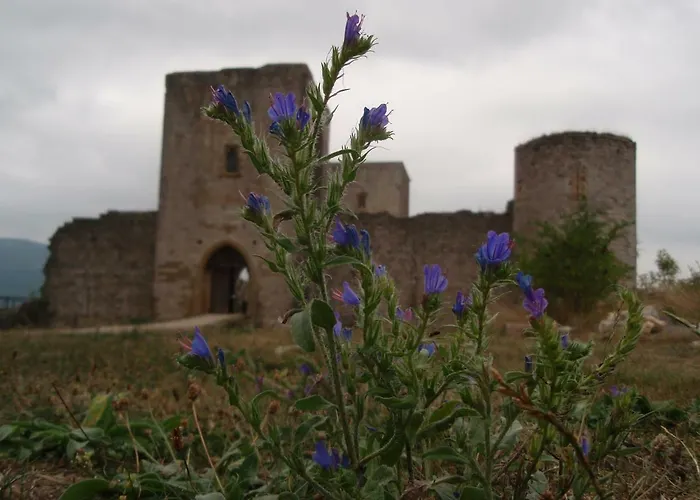 Villa Cammas De Bas *